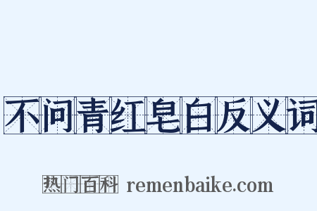 不问青红皂白反义词是什么意思的图片